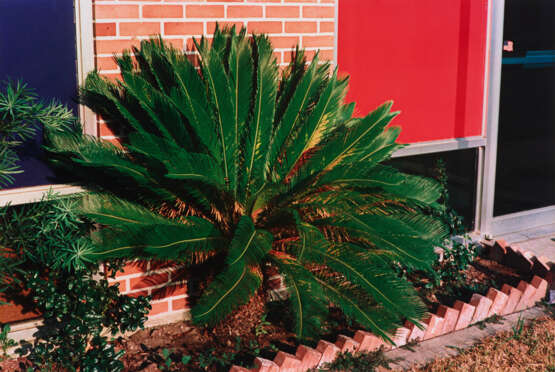 WILLIAM EGGLESTON (B. 1939) - фото 1