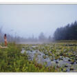 RYAN MCGINLEY (B. 1977) - Auction prices