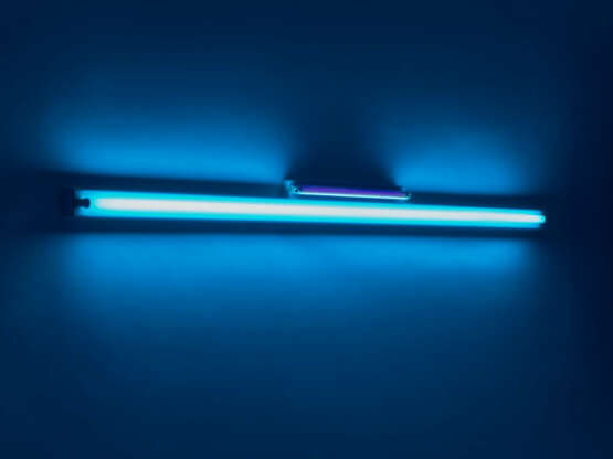 DAN FLAVIN (1933-1996) - photo 2