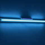 DAN FLAVIN (1933-1996) - фото 2