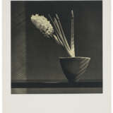 ROBERT MAPPLETHORPE (1946-1989) - Foto 1