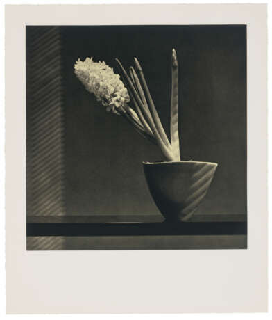 ROBERT MAPPLETHORPE (1946-1989) - фото 1