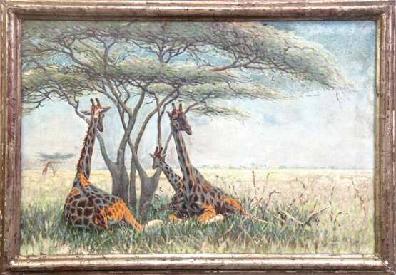 Schulz-Borek, Rudolph (1887 Borek b. Stienowitz -1983 Berlin) "Rastende Giraffen im Baumschatten", Öl/ Lw., Restsign. u.r., rückseitig betitelt, 31x47 cm, Rahmen - photo 1