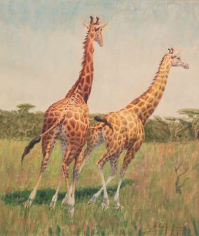 Schulz-Borek, Rudolph (1887 Borek b. Stienowitz -1983 Berlin) "Giraffen-Studie", Aquarell, sign. u.r., 34x28,5 cm, im Passepartout hinter Glas und Rahmen - Foto 1