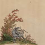 Ridinger, Johann Elias (1698 Ulm- 1767 Augsburg) "Indianisch Schwein-Porcus Babiroussa", kolorierter Kupferstich, 33x23 cm, im Passepartout hinter Glas und Rahmen - photo 1