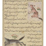 TWO ILLUSTRATED FOLIOS FROM AN AJA`IB AL-MAKHLUQAT OF QAZWINI - фото 2