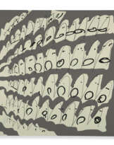 TALA MADANI (B. 1981)