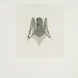 Kiki Smith. B.A.T. (back) - photo 1