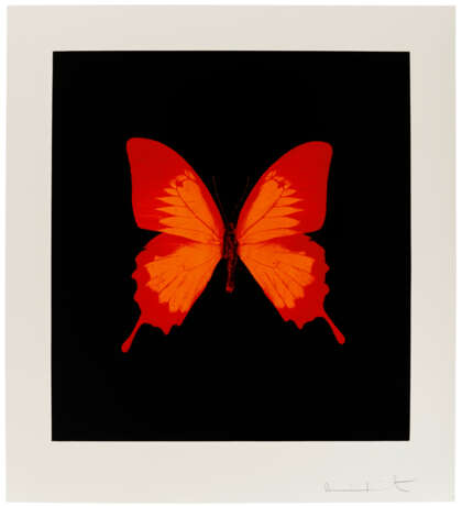 DAMIEN HIRST (B. 1965) - Foto 1