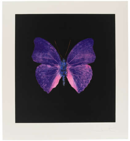 DAMIEN HIRST (B. 1965) - photo 1