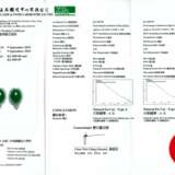 SET OF JADEITE AND DIAMOND JEWELLERY - фото 4