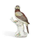 A CHELSEA PORCELAIN MODEL OF A LITTLE HAWK OWL - Foto 1