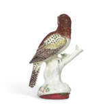 A CHELSEA PORCELAIN MODEL OF A LITTLE HAWK OWL - Foto 3