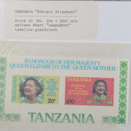 Tansania - Kleiner Bestand von Abarten - Foto 2