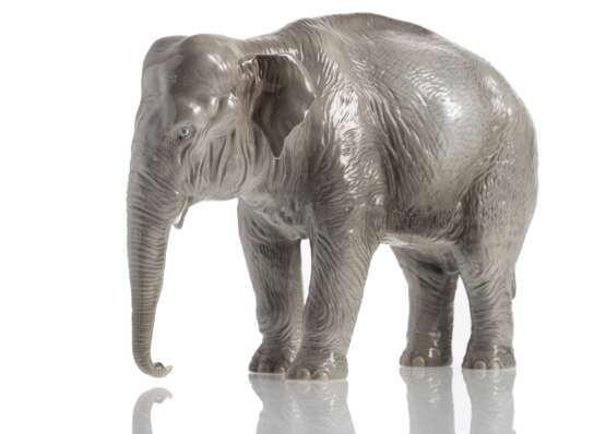 Elefant - photo 1