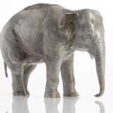 Elefant - photo 2