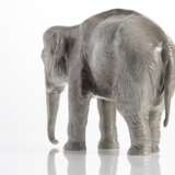 Elefant - photo 3