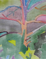 Сосна Сосна