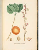 JAUME SAINT-HILAIRE, Jean Henri (1772-1845) et André THOUIN (1747-1824)