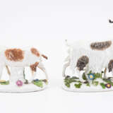 Meissen. PORCELAIN FIGURINE OF A GOAT AND BILLY GOAT - фото 3