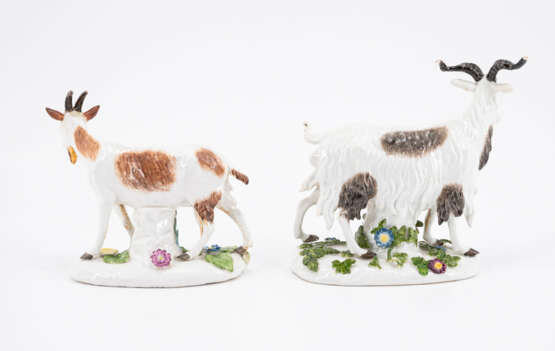 Meissen. PORCELAIN FIGURINE OF A GOAT AND BILLY GOAT - фото 3