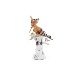 Meissen. PORCELAIN HOOPPOE ON A TRUNK WITH MAY BUG