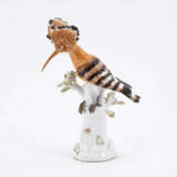 Meissen. PORCELAIN HOOPPOE ON A TRUNK WITH MAY BUG - photo 2