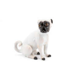 Meissen. PORCELAIN PUG WITHOUT CLAMPS