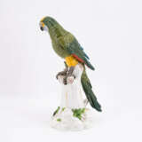 Meissen. PORCELAIN FIGURINE OF A PARROT WITH GREEN FEATHERS ON A TREE TRUNK - photo 2