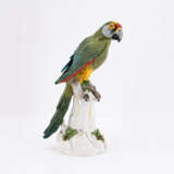 Meissen. PORCELAIN FIGURINE OF A PARROT WITH GREEN FEATHERS ON A TREE TRUNK - photo 4