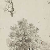 Karl Buchholz. Eleven Loose Sheets with Studies of Landscapes and Trees - photo 5