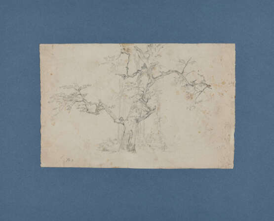 Karl Buchholz. Eleven Loose Sheets with Studies of Landscapes and Trees - photo 11