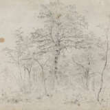 Karl Buchholz. Eleven Loose Sheets with Studies of Landscapes and Trees - photo 25