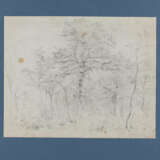 Karl Buchholz. Eleven Loose Sheets with Studies of Landscapes and Trees - photo 26