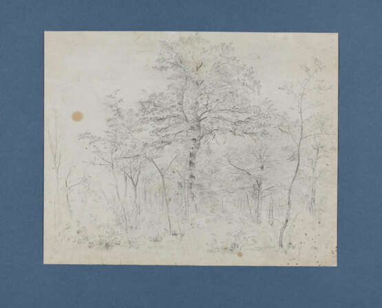 Karl Buchholz. Eleven Loose Sheets with Studies of Landscapes and Trees - photo 26