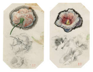 Eugène Delacroix, zugeschrieben. Two Floral Studies