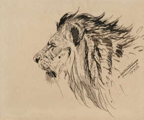 Friedrich Wilhelm Kuhnert. Lion's Head