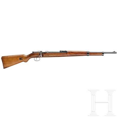 Wehrsportgewehr BSW - Foto 1