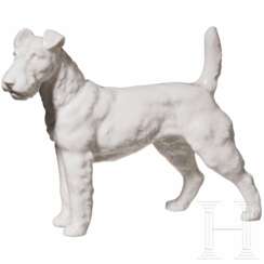 Stehender Foxterrier