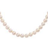 Akoya Perlenkette mit Schließe, - photo 2