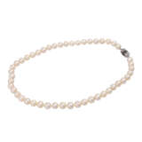 Akoya Perlenkette mit Schließe, - Foto 3