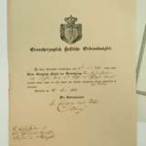 Ministerpräsident des Großherzogtum Hessen Freiherr R.v.D.z.L. - Hessen: Großherzoglicher Orden Philipps des Großmütigen, Comturkreuz 2. Klasse Urkunde. - фото 4