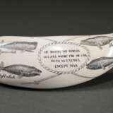 Scrimshaw "Spermwhale, Rightwhale, Humpback und Greywhale" sowie Spruch "He roams the worlds oceans, where e're he can, with no enemies. Except man", 19.Jh., beschnitzter Walzahn mit geschwärztem Ritz… - photo 1