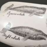 Scrimshaw "Spermwhale, Rightwhale, Humpback und Greywhale" sowie Spruch "He roams the worlds oceans, where e're he can, with no enemies. Except man", 19.Jh., beschnitzter Walzahn mit geschwärztem Ritz… - photo 7