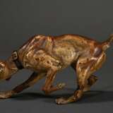 Großer Wiener Bronze "Jagdhund", Bronze in polychromen Kaltfarben staffiert, um 1900, L. 19,8cm, Farbabplatzungen - Foto 2