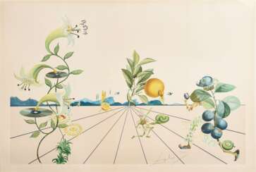 Dalí, Salvador (1904-1989) &quot;Flordali I&quot; 1981, Farblithographie mit Reliefprägung, 2884/4480, u.r. i.d. Platte sign., verso num./bez., Druck Matthieu/ Zürich, 103,5x73,5cm, schmaler Lichtrand, kleine Randdefekte…