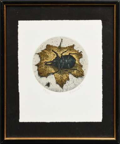 Kressel, Dieter (1925-2015) "Ahornblatt mit Käfer" 1981, Farbradierung, 99/150, u. sign./dat./bez., PM Ø 12cm, BM 21,8x18cm (m.R. 31x25,5cm) - photo 2