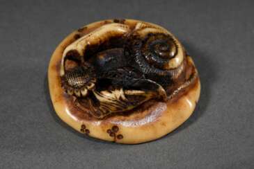 Hirschhorn Netsuke &quot;Schnecke auf Pilz mit Blume&quot; mit Einarbeitung der Gehörn Struktur, Asakusa Schule, Ende 19.Jh., schöne glänzende Patina, L. 4,5cm, Provenienz: Norddeutsche Sammlung