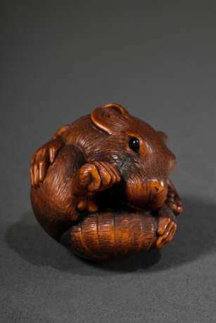 Großes Buchsbaum Netsuke "Gekugelte Ratte" mit schönem Gesichtsausdruck in feinster Schnitzarbeit, eingelegte Augen aus schwarzem Horn, versteckt gearbeitete natürliche Himotoshi, Anfang 20.Jh., Ø 4cm, Provenie… - фото 1