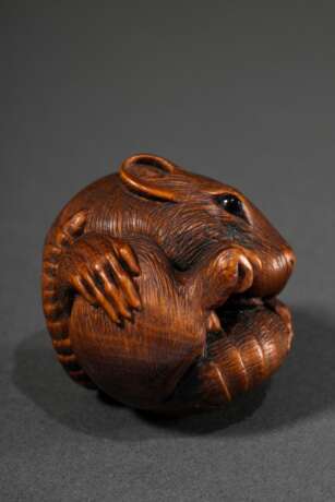 Großes Buchsbaum Netsuke "Gekugelte Ratte" mit schönem Gesichtsausdruck in feinster Schnitzarbeit, eingelegte Augen aus schwarzem Horn, versteckt gearbeitete natürliche Himotoshi, Anfang 20.Jh., Ø 4cm, Provenie… - фото 2